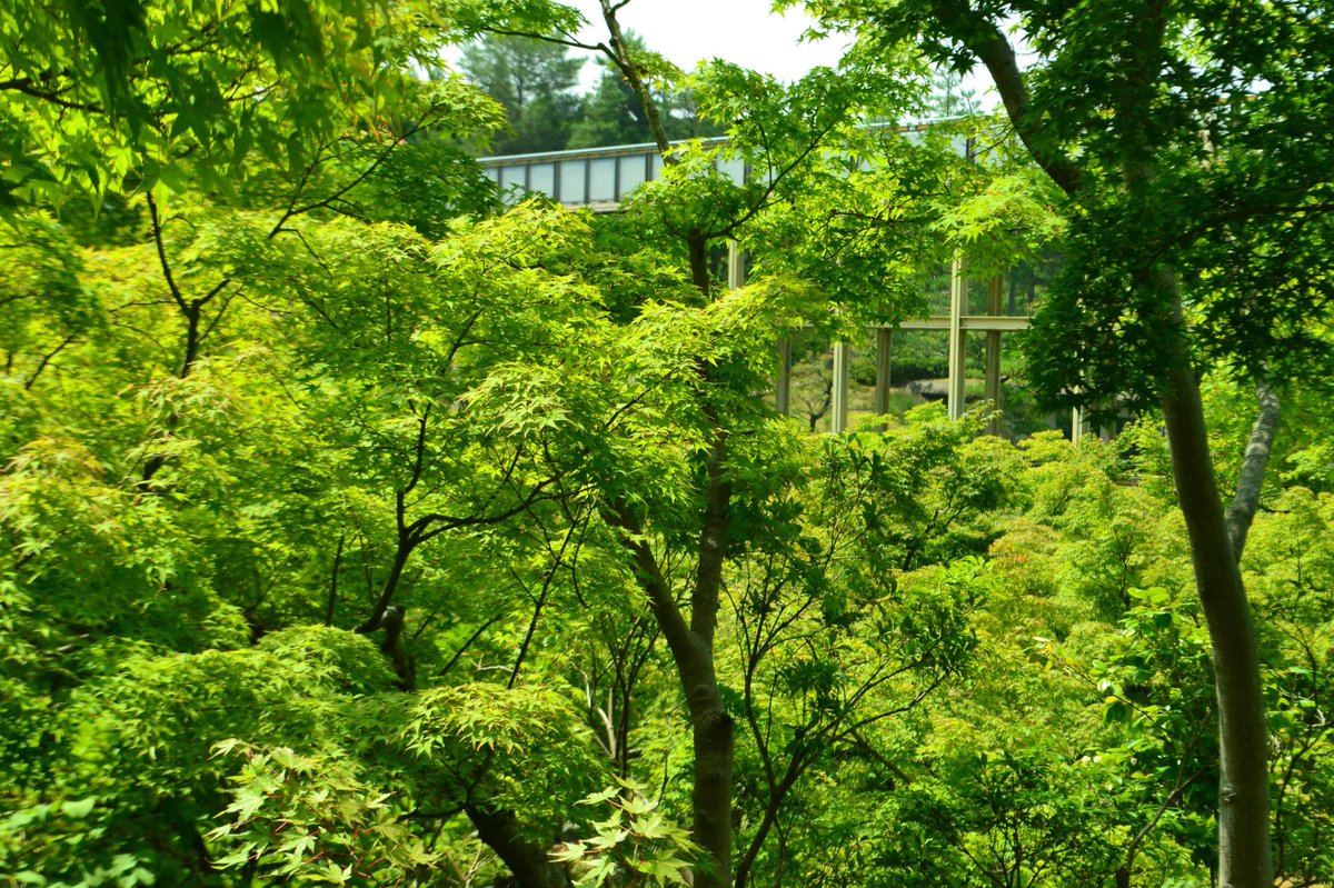 Mkタクシー 京都情報 Mk夏18 相楽郡精華町 けいはんな記念公園 水と緑にあふれた光景がみれるかと 18 6 9 上司撮影