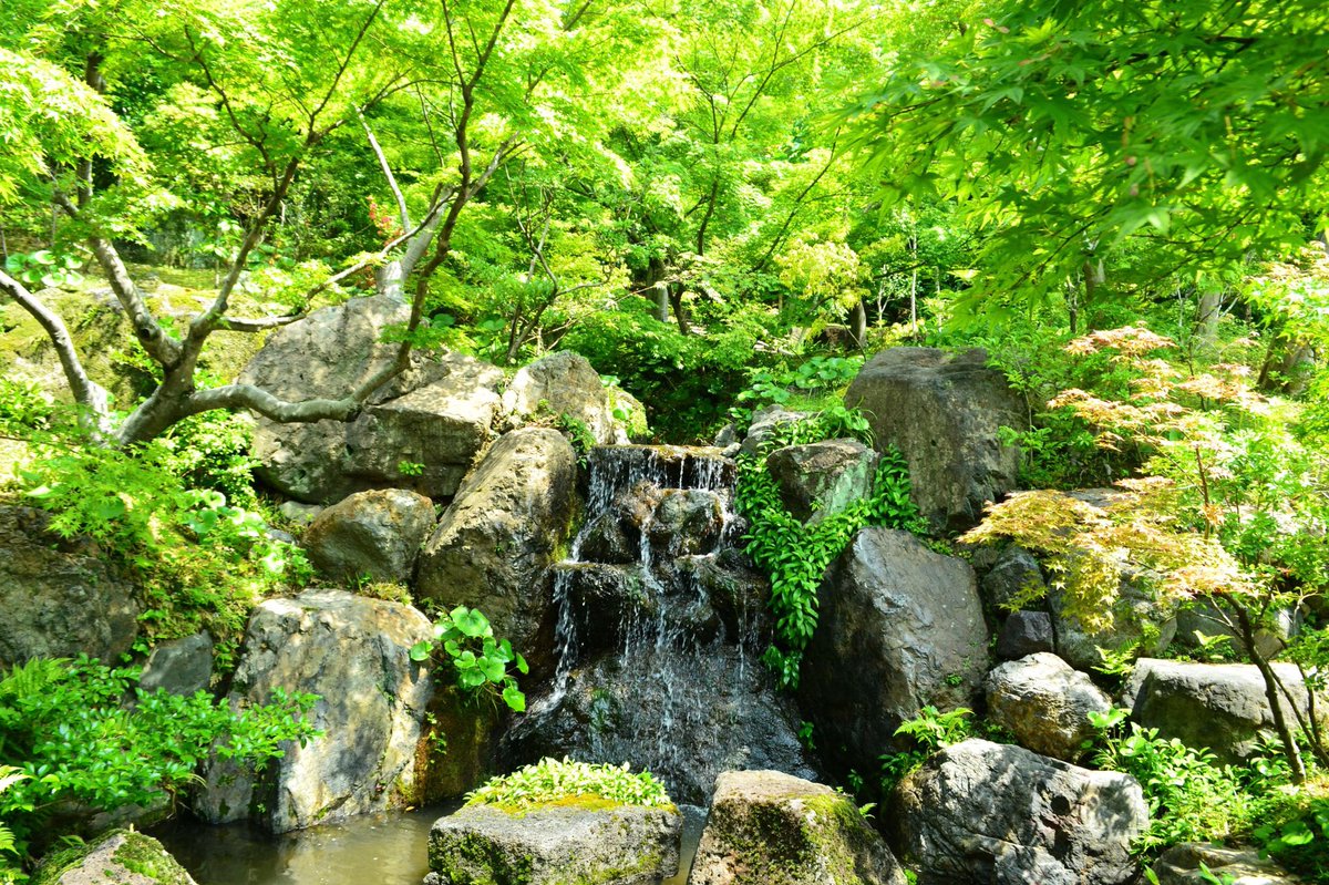 Mkタクシー 京都情報 Mk夏18 相楽郡精華町 けいはんな記念公園 水と緑にあふれた光景がみれるかと 18 6 9 上司撮影