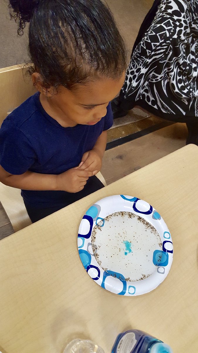 experentiadocet's tweet image. My STEM PreK Scientists made mini lava lamps and milk paint! #STEMPreK