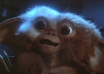 zwgman's tweet photo. Hey, Giz! We almost missed #MogwaiMonday! I know, right? What's up with that?

RT this if you love him and want to see him back on screen!

#Gremlins #80s #sequel #Reboot #whoknows #WarnerBros https://t.co/uEyv2CdsOi