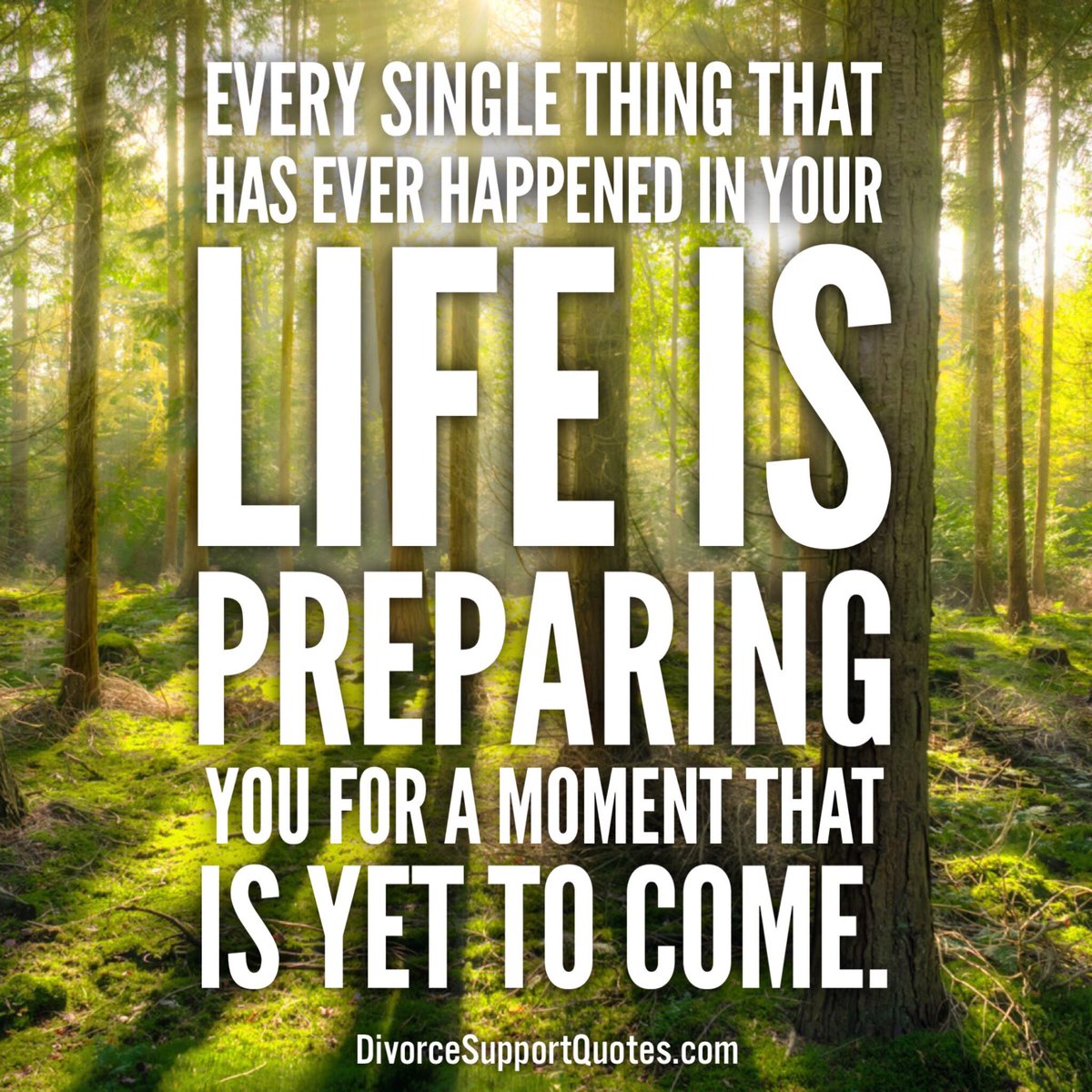 Every single thing that has ever happened in your life is preparing you for a moment that is yet to come
#freshstart #divorcedlife #divorcedmom #divorceddad #divorcesucks #overitall