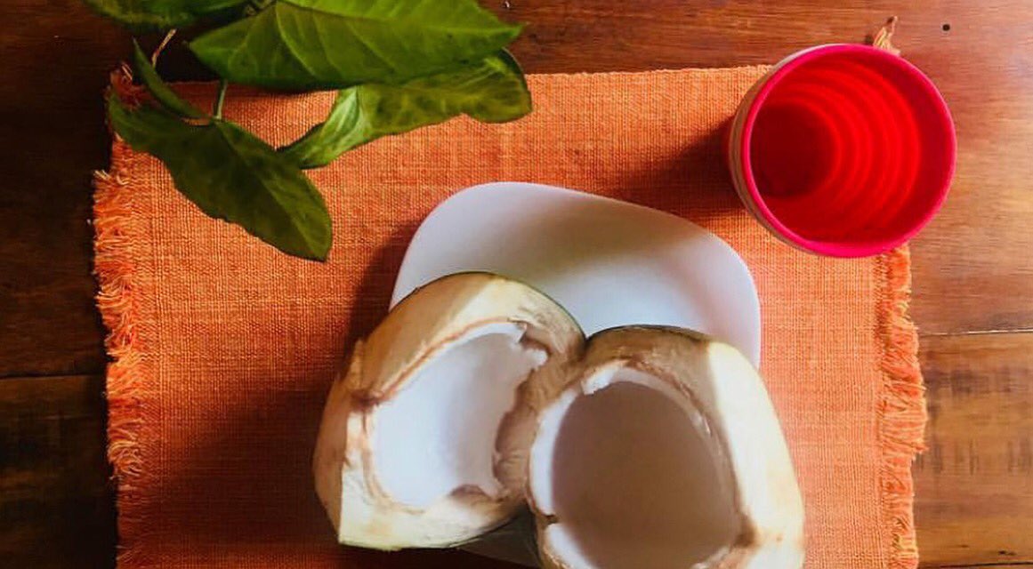 instamission's tweet photo. Na #instamission362 | Adote uma atitude para celebrar o #diamundialdomeioambiente, a Laís Nunes já mostrou que é possível saborear um coco sem utilizar descartáveis. Quais são os pequenos hábitos que você pratica que ajudam a preservar o meio ambiente?

https://t.co/CHs2nfd5wS https://t.co/sOCDFz9Kng