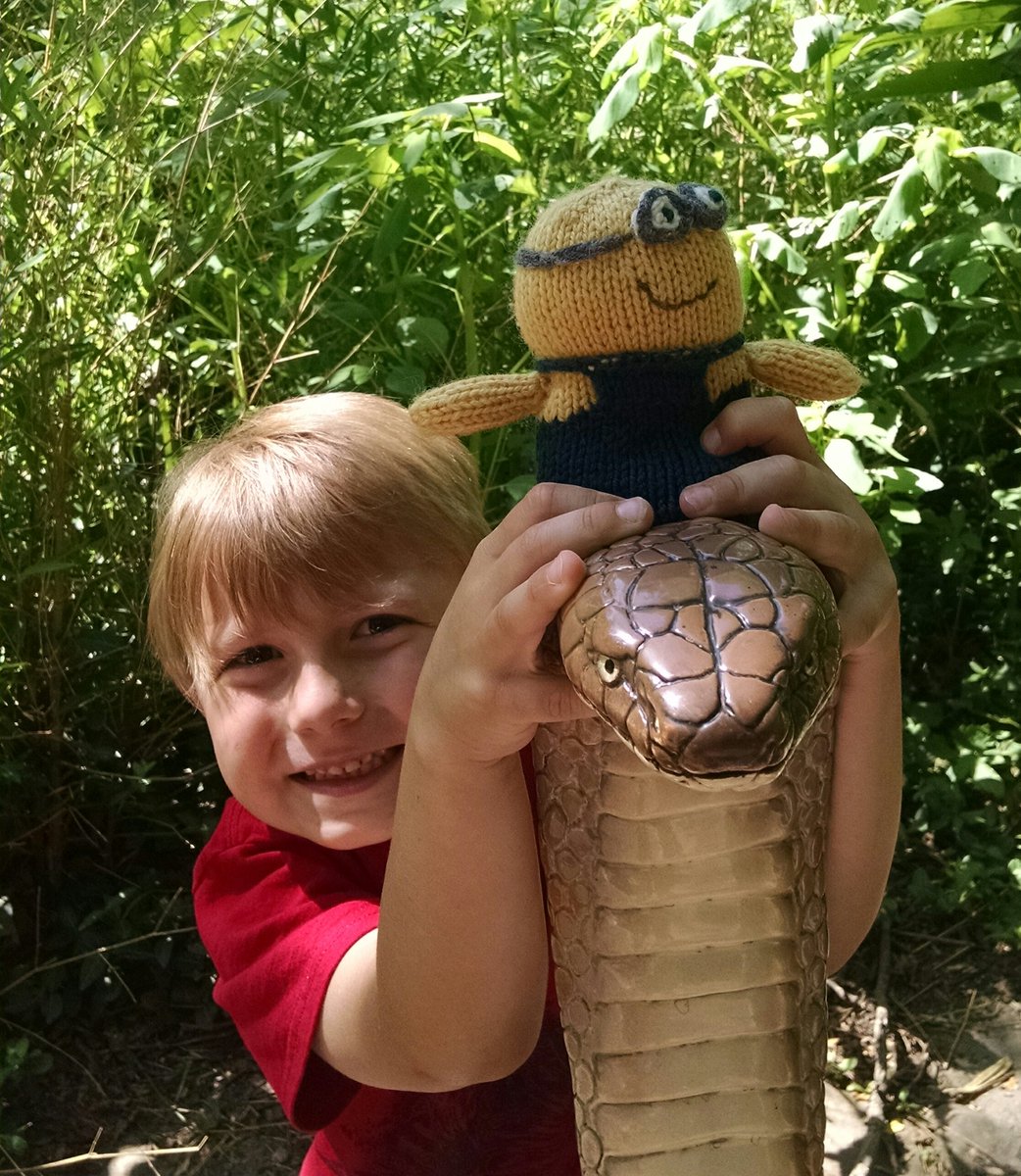 pocket_dave's tweet photo. Made some new friends at @stlzoo #MionionMonday https://t.co/7CsJGb2Khx