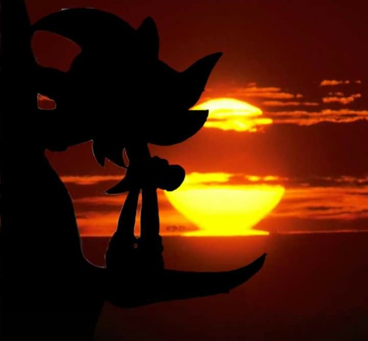 ShadowIsBack64's tweet image. Everything is so dull without her around...