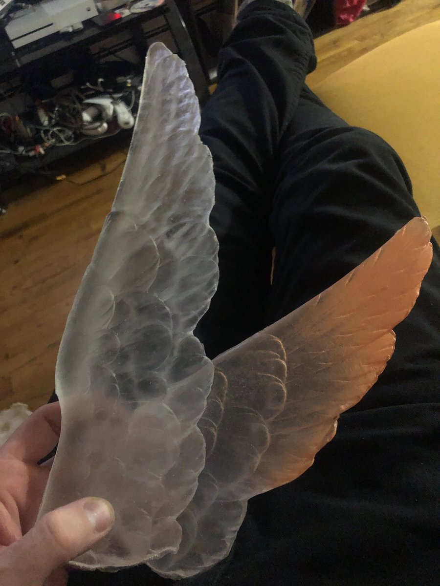 theAIRRAT's tweet photo. Hey look a bird tweeting bird parts on Twitter ok I’ll lose my password and forget about this place again. https://t.co/3yWcBUygee