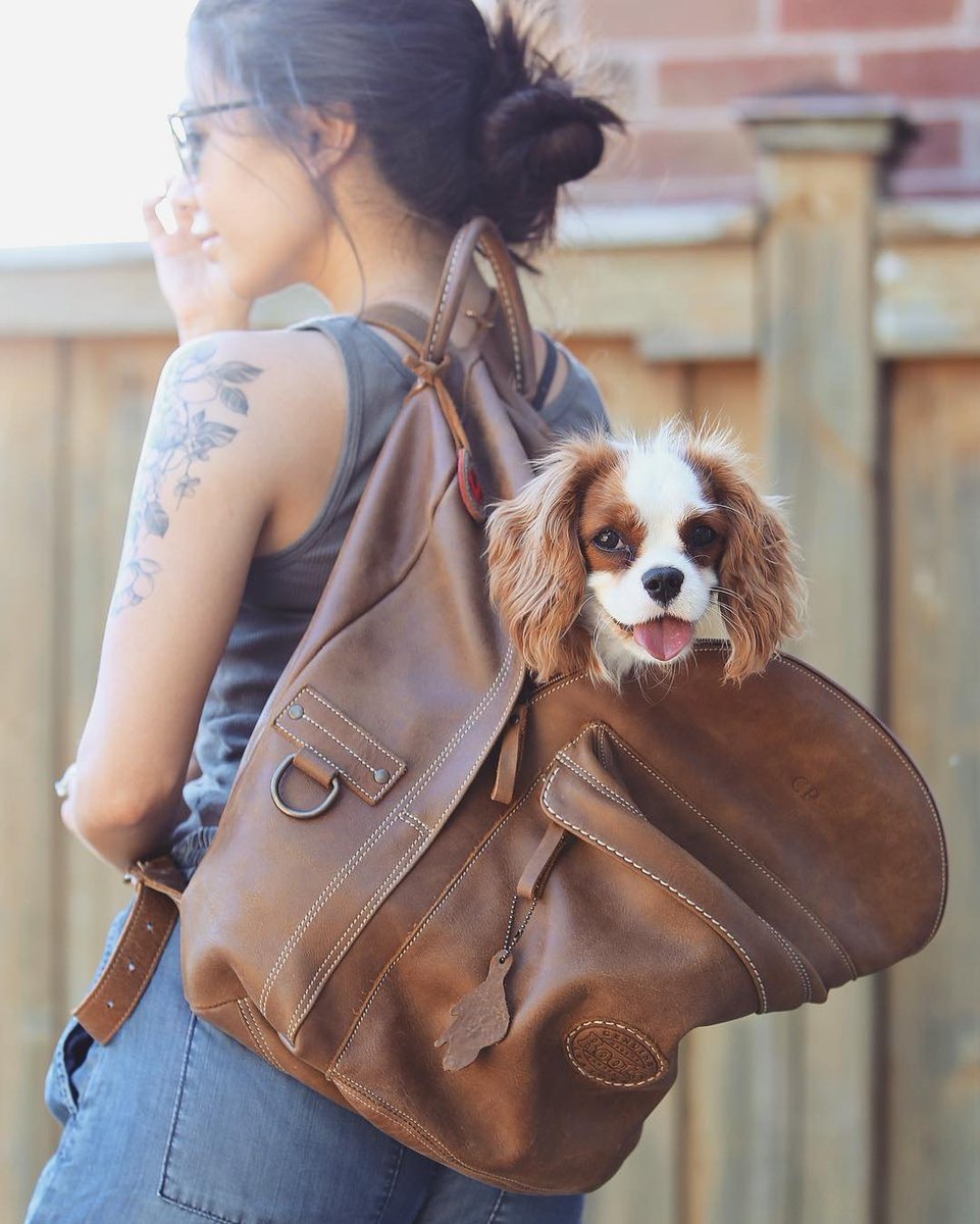 Roots (@roots) on Twitter photo Keep it hands free. A backpack is your best friend when you're busy making memories. Shop now: rts.cc/7uMg50hC3cs
📷: <a href="/ConnorPrice_/">Connor Price</a>
#RootsIsCanada #MadeInCanada #LeatherBag Keep it hands free. A backpack is your best friend when you're busy making memories. Shop now: rts.cc/7uMg50hC3cs
📷: <a href="/ConnorPrice_/">Connor Price</a>
#RootsIsCanada #MadeInCanada #LeatherBag