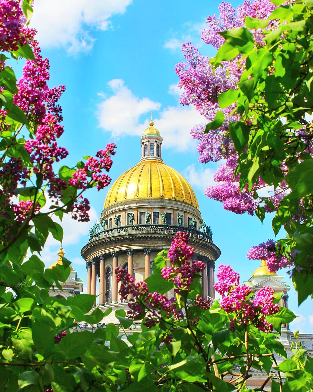 Исаакиевский собор Санкт-Петербург в сирени