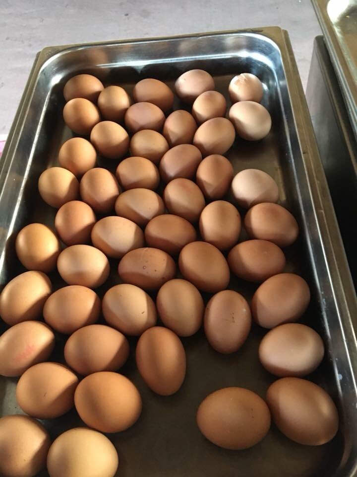 opnaardetopEMV's tweet photo. Intussen op de camping. Daar staat het ontbijt klaar voor de Equipe die deze week de kale berg bedwingt. Bon appétit! https://t.co/YdIRNCWjpo