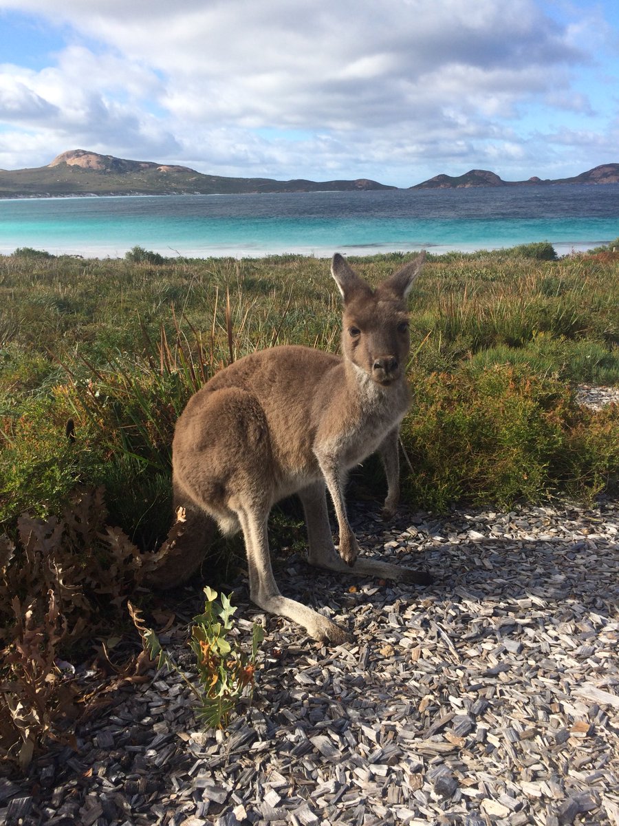 JuillardPro's tweet photo. In addition to my internship, I take advantage of Australia to visit beautiful places and make new friends 🇦🇺 https://t.co/GnKZI7suWh
