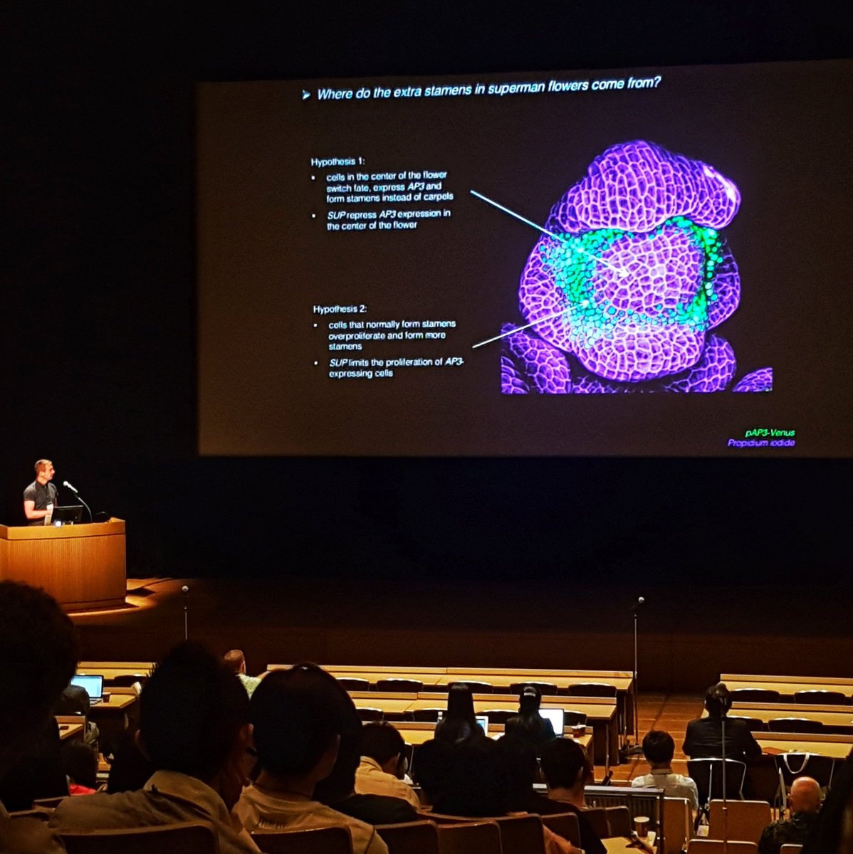 ellwilks's tweet photo. Super work on the floral meristem hot off the press from @Nat_Prunet at #iscpr2018 in #Gifu #Japan
doi: 10.15252/embj.201797499
#microscopy #plantdev #iasprr π±πΈπ¬ https://t.co/wt6mjCHG42