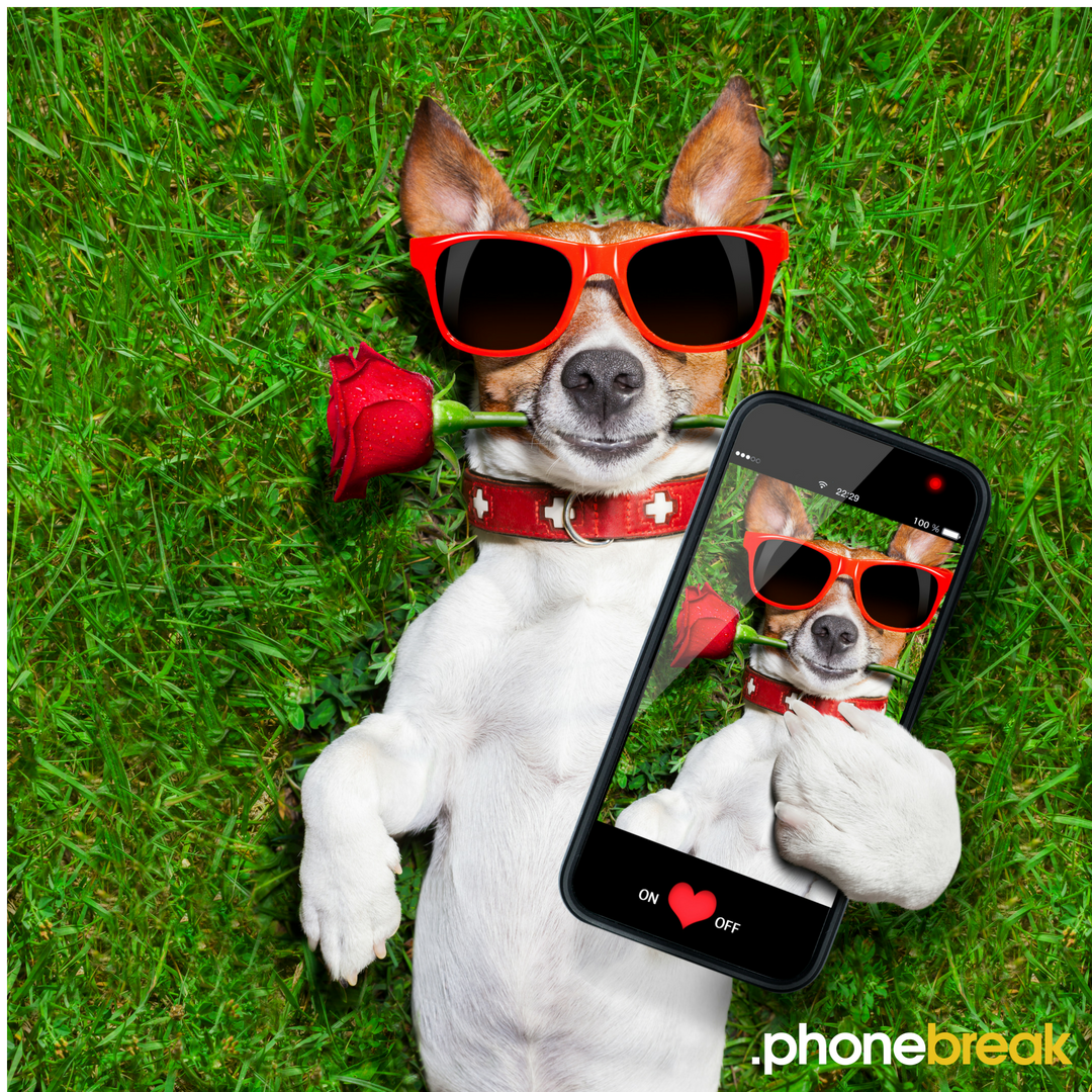 PhonebreakBr's tweet photo. Feliz dia dos namorados ♥ https://t.co/betFdbQHya