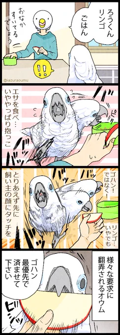 「いたずらオウムの生活雑記2018」７月末に発売予定です！
ご予約お待ちしております。（願いします）

amazonリンク
 