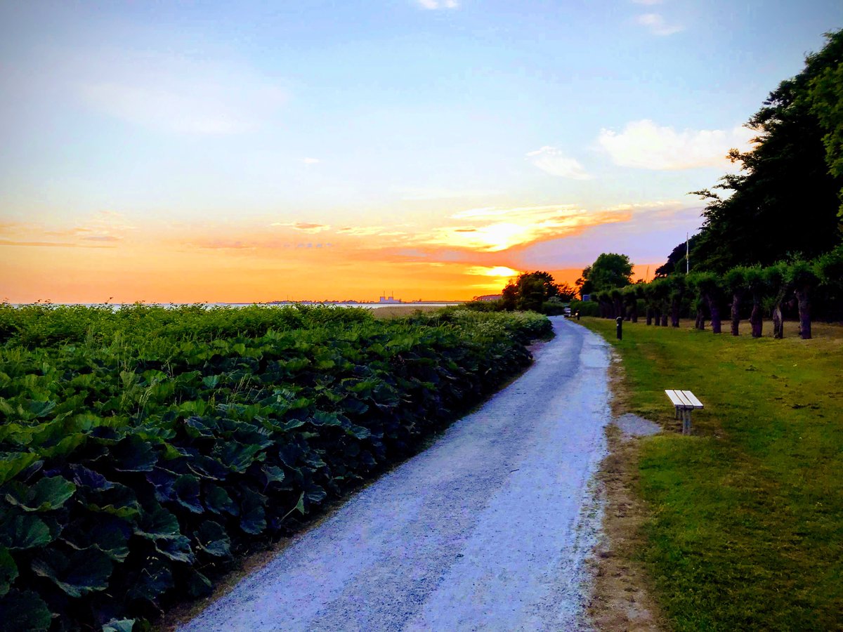 Maj : 153 kr till insamlingen <a href="/1krkm/">Insamlingen 1 kr/km</a> <a href="/Cancerfonden/">Cancerfonden</a>