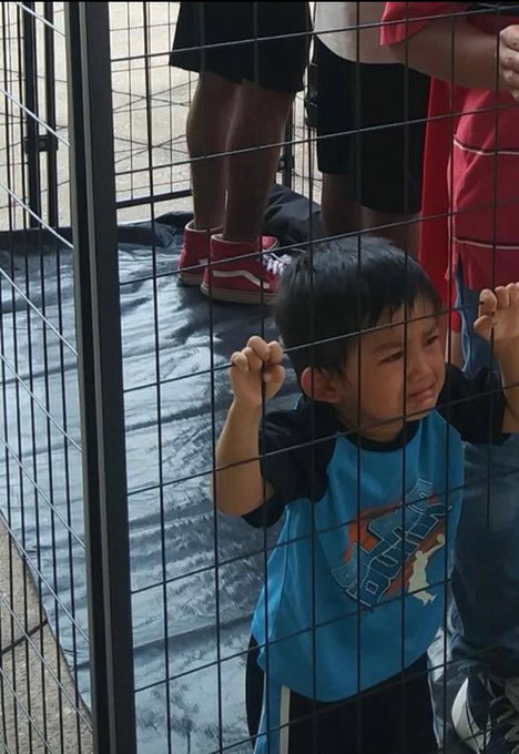 Image result for children in cages trump