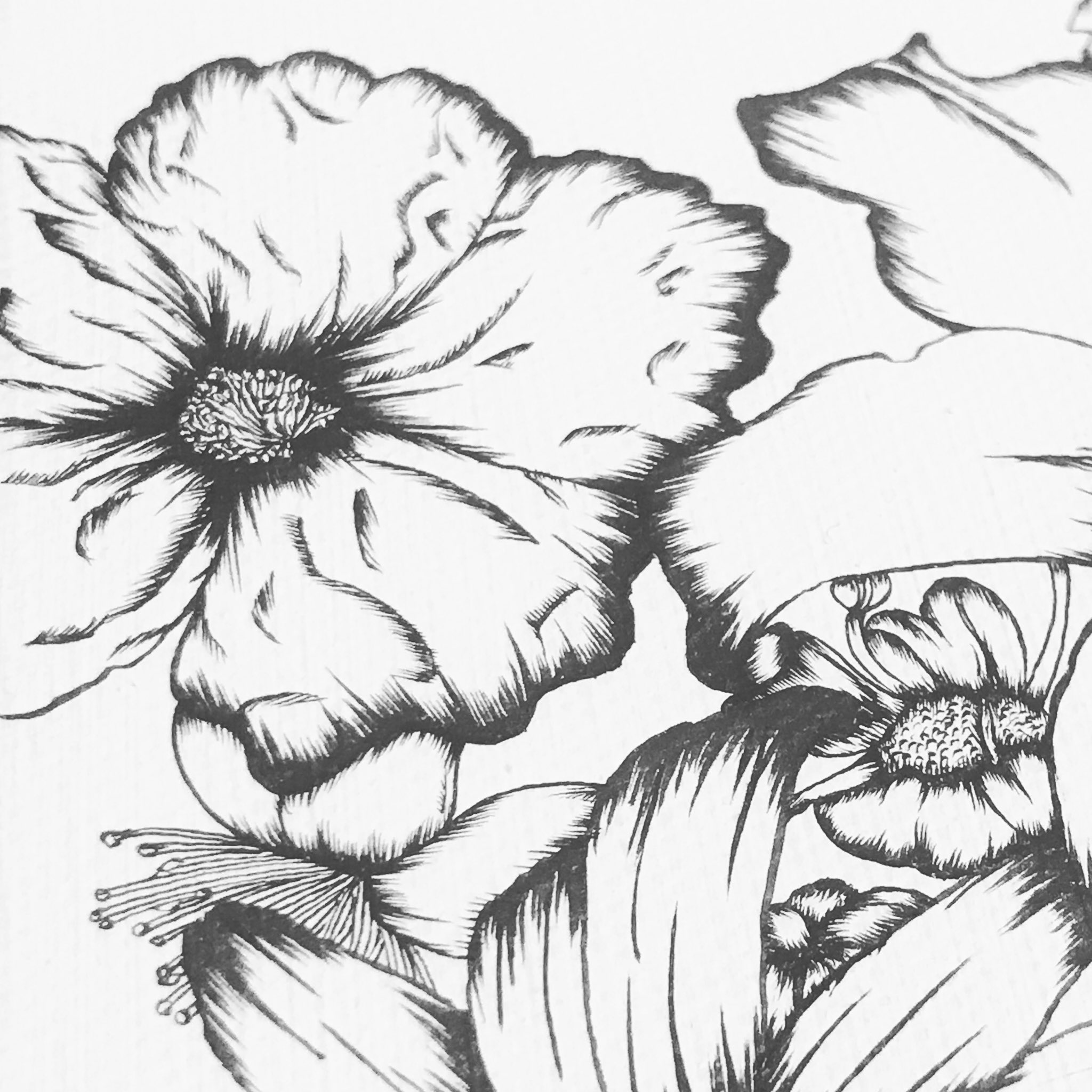 توییتر 原 良輔 筆ペン画家 در توییتر Art Cocktail主催 第1回公募展 Life に参加します 54名の作家による様々な Life 原は 日常に咲く花言葉 をテーマに制作しました 6月3日 日 より始まります 是非 生で原画の迫力を感じて頂けたら幸いです