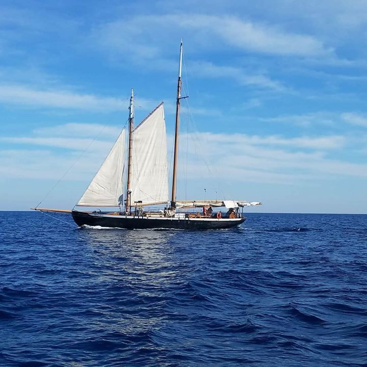 HinduCharters's tweet image. 