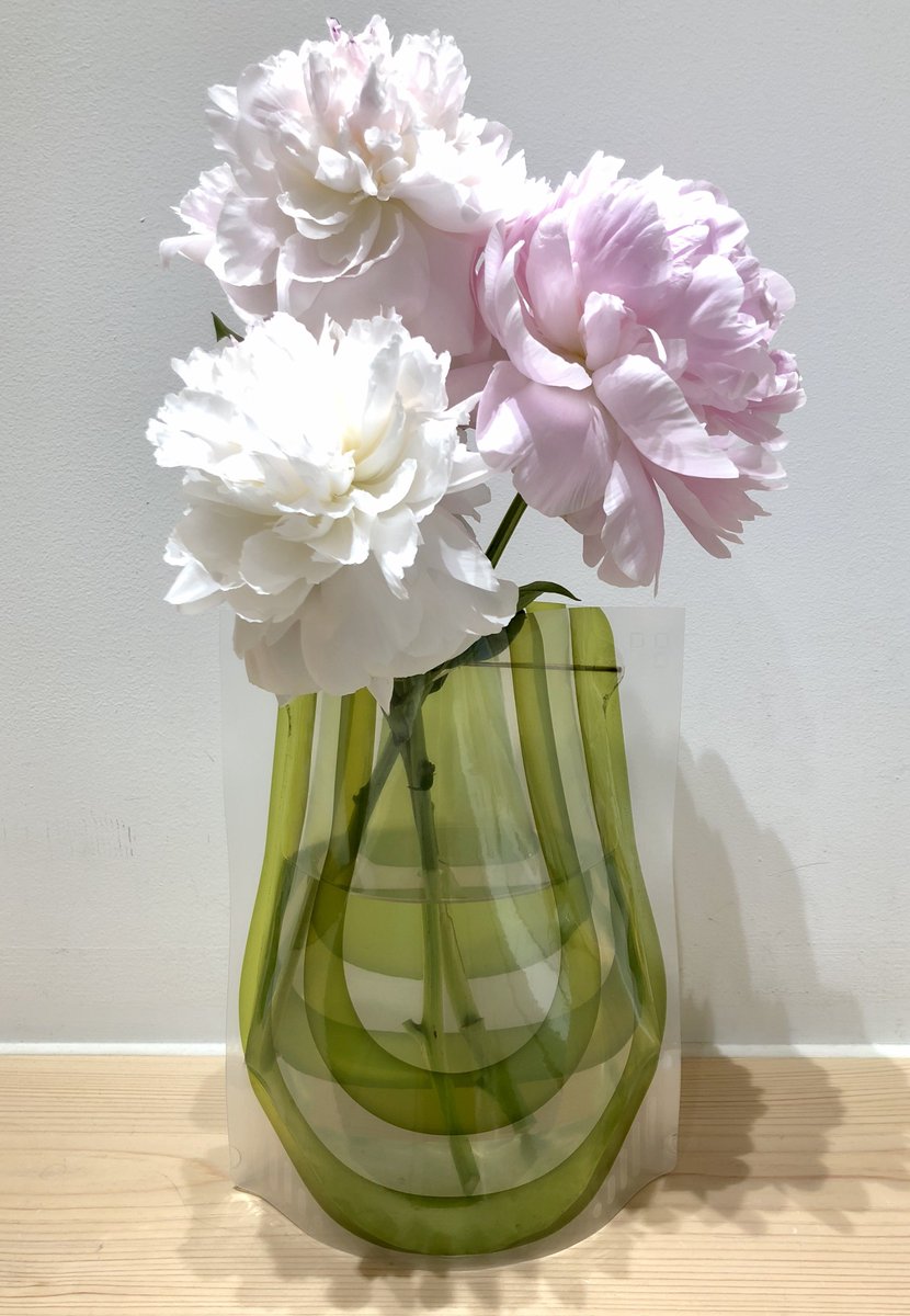 D Bros ディーブロス Shop 6月 に入ってから 芍薬や紫陽花など 大ぶりなお花をよく見かけるようになりました 数本いけるだけでとても華やかになりますので 花束以外の飾り方としてもおすすめです D Bros ディーブロス Shop 6月 に入ってから 芍薬や紫陽花など 大ぶりなお花をよく見かけるようになりました 数本いけるだけでとても華やかになりますので 花束以外の飾り方としてもおすすめです