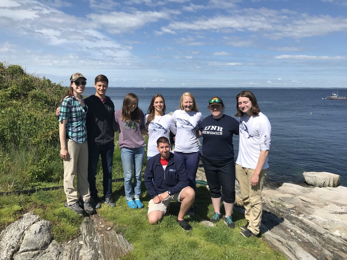 MEEGSML18's tweet photo. convenient, partition man, seahorsing, wolf pack submarines, the Shoe Tree, Sharon, Patrice, Nelson, Sylvester and Sylvia, and finally, to us: 

MEEG 2018 ~ Caleb Carmichael, Dan Primka, Carli Barnes, Marissa Cartee, Kara Rzasa, Liv Guac, and Jacob Moore.

More pictures to come! https://t.co/mFq9I4pMvO