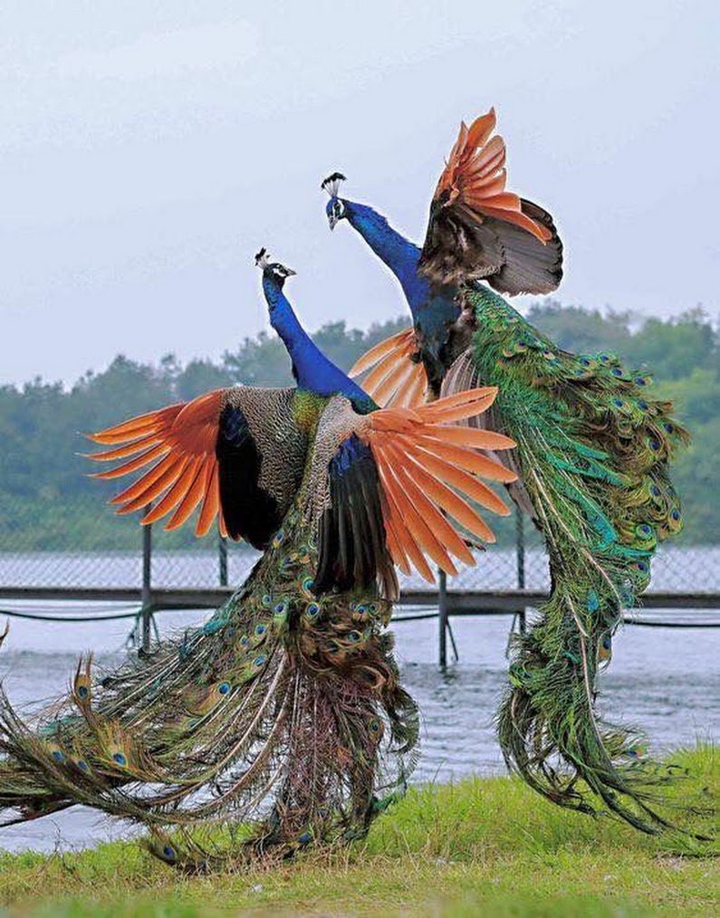 luthful7's tweet photo. π Thanks Everybody πΈ Have a Very Happy Day π
@ramblingsloa π
π #NeedSomeTimeβ¨ Join You All Soon πΉ π https://t.co/pGEOwIka9B