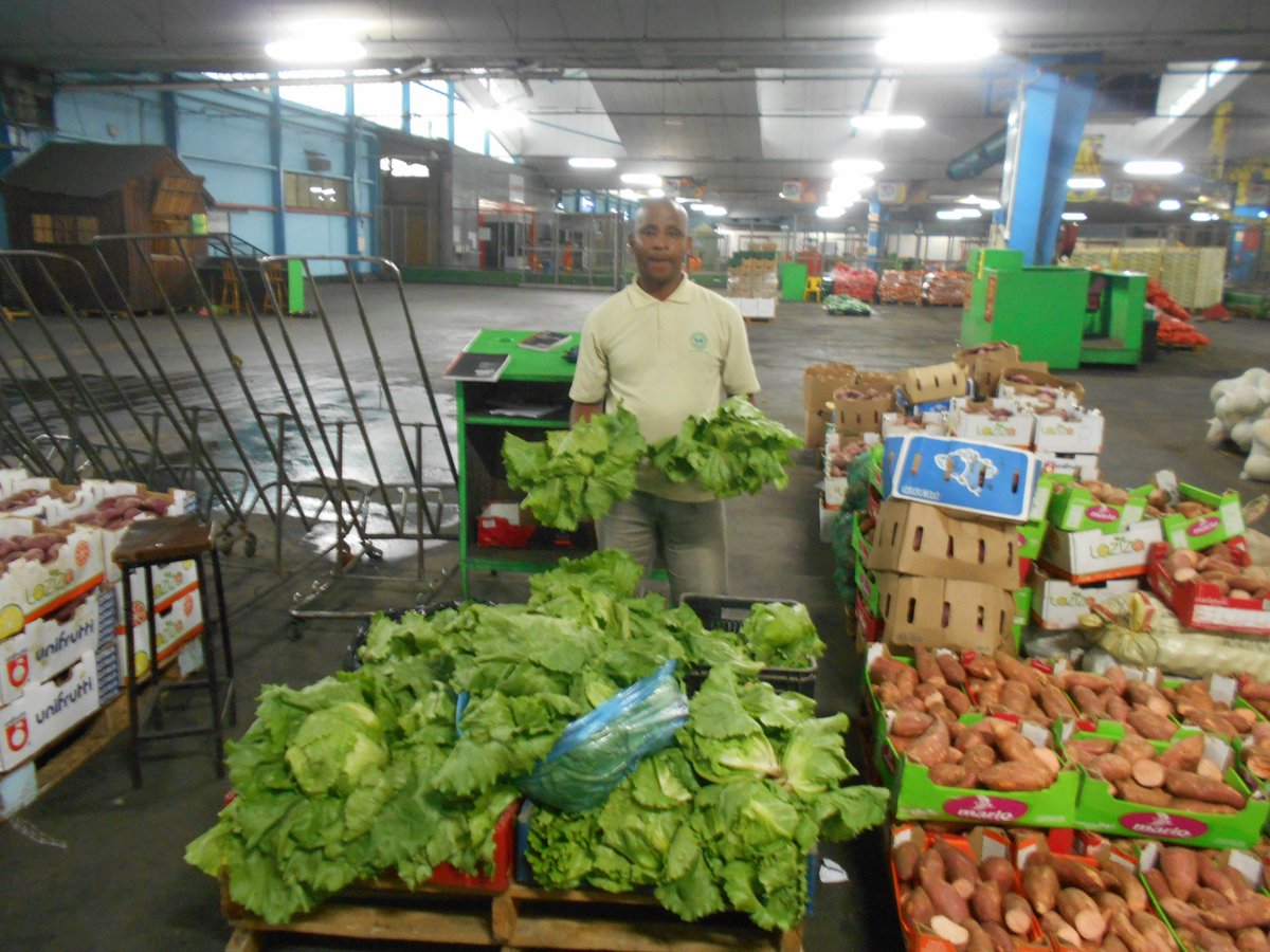 ftfa's tweet photo. Zamukulungisa Garden in Ntuzuma, eThekwini have maintained their production plan to ensure sustained periodic harvests of excellent crops. They have harvested approximately 100 heads of lettuce which was sold at the Clairwood Bulk Market. #MarketGardens #WhatDevelopmentLooksLike https://t.co/M6Z6WfDHAF