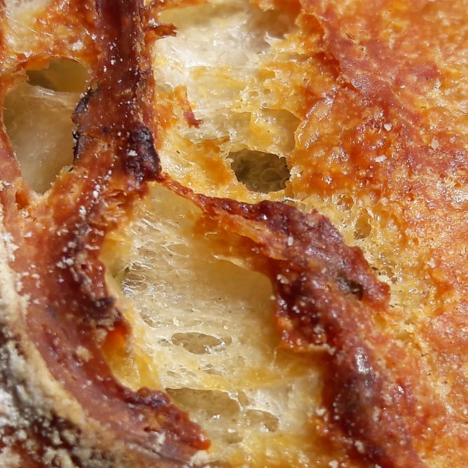 Ivycottagebaker's tweet photo. Doesn't need description,just golden beautiful #fresh #sourdough #realbread #local #community #microbakery #Cumbria #edenvalley #riverlune #howgills #westmorlanddales #notjustlakes #gluten #natural #fermentation #nutricious #breadear #scratchandsniff 😁 https://t.co/KIag7oBbxM