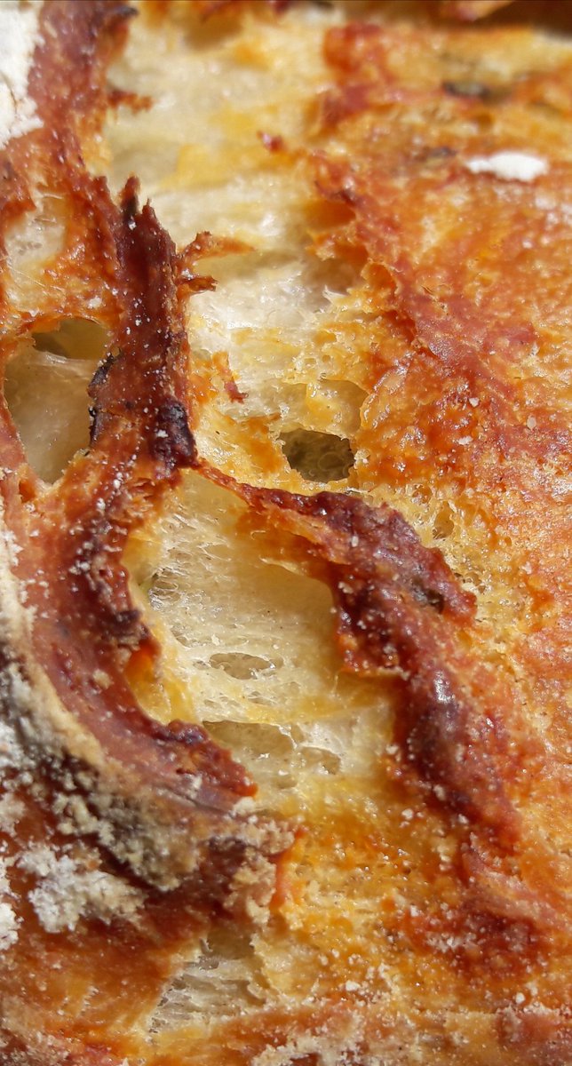 Ivycottagebaker's tweet photo. Doesn't need description,just golden beautiful #fresh #sourdough #realbread #local #community #microbakery #Cumbria #edenvalley #riverlune #howgills #westmorlanddales #notjustlakes #gluten #natural #fermentation #nutricious #breadear #scratchandsniff 😁 https://t.co/KIag7oBbxM
