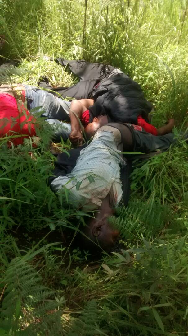 Dream_LivesOn's tweet photo. @irinnews @EmmanuelFreuden #FreeAllArrested #FreeSisikuAyukTabe #StopGenocideInSouthernCameroons #Watanwata The world need to be alerted on the Massacre perpetrated by the #Cameroon military under the command of #PrBiya in the 2 #Anglophone regions of NW/SW..Maiming,torture,rape,looting by the military https://t.co/SI1iEOE8dm