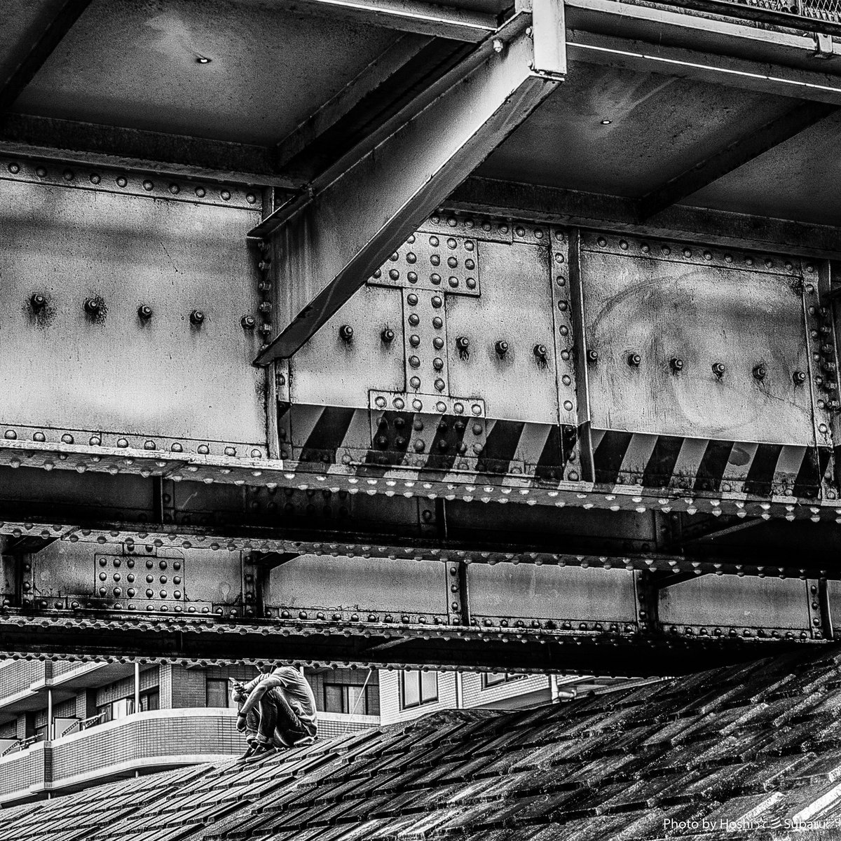 maa1547's tweet image. 今日の１枚「橋りょうBの風景」
＃sigma #Dpmerrill