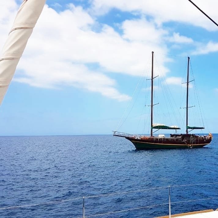 canaryboattrips's tweet photo. π¬π§ Our Aphrodite sailing next to our Magic Deluxe π
πͺπΈ Nuestro #AphroditeSailing navegando al lado el #MagicDeluxe πββ΅
#CanaryBoatTrips #catamaran #boattrip #sailing #excursion #funinthesun #PuertoRicoGC #GranCanaria #Mogan #VIPΒ #ThePerfectDay #LazyDay #ChillOut https://t.co/YlHsUHqiB6