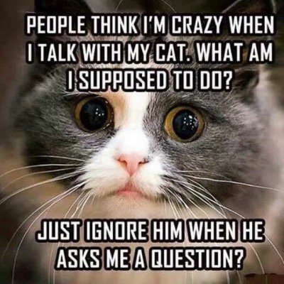 catsnkittys's tweet photo. I totally understand !! https://t.co/gnVMWj4hg9