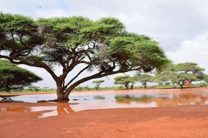 HamdaGm's tweet photo. look deep into the nature 
#Somaliland 
#صوماليلاند_ليست_الصومال https://t.co/k5VI6VLfDS