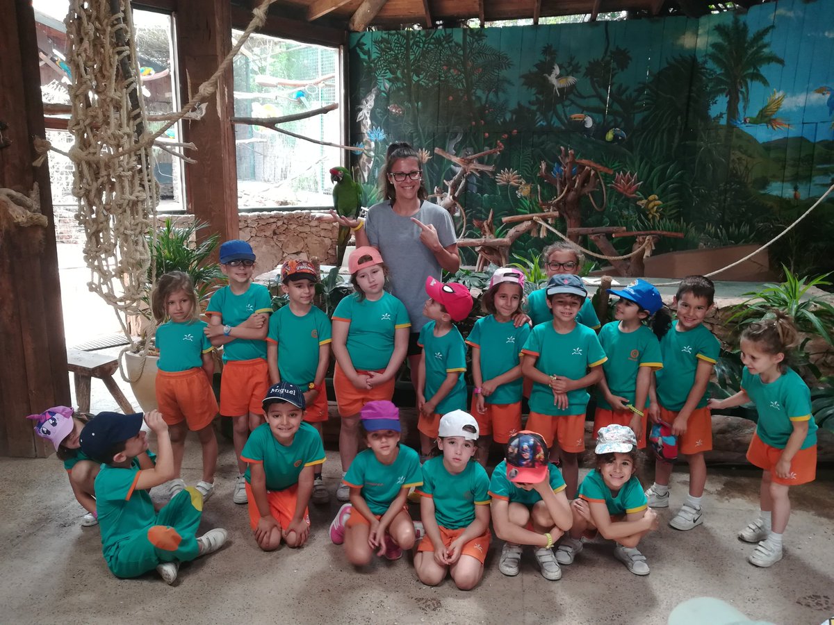 BobbyBearP5's tweet photo. Parrots like us! @P5Bsmdlv @Natalia_Nazaret @naza https://t.co/08tRez0xtU