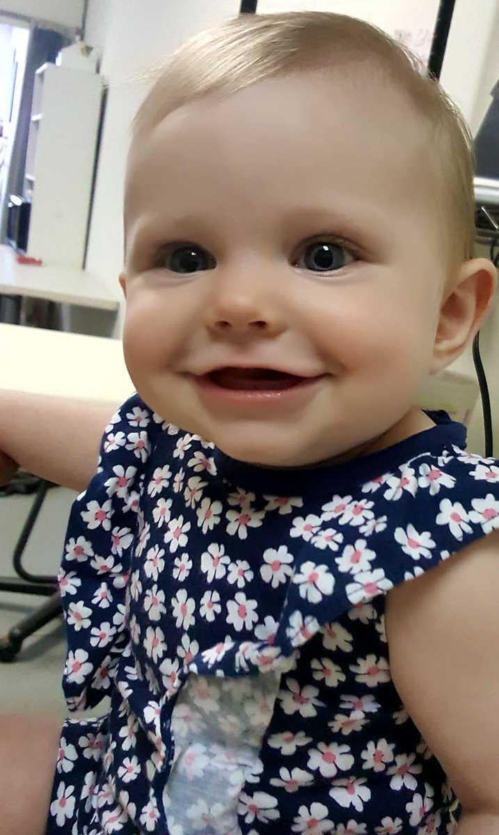 Dales Gallery tweet media