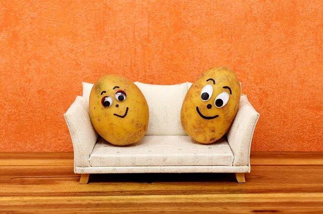 ultimateflrsand's tweet photo. Caption this!
We challenge you to give us the best caption for this photo.

#Home #HomeImprovements #Homecare #Homedecor https://t.co/6nJ2CQt2Pb