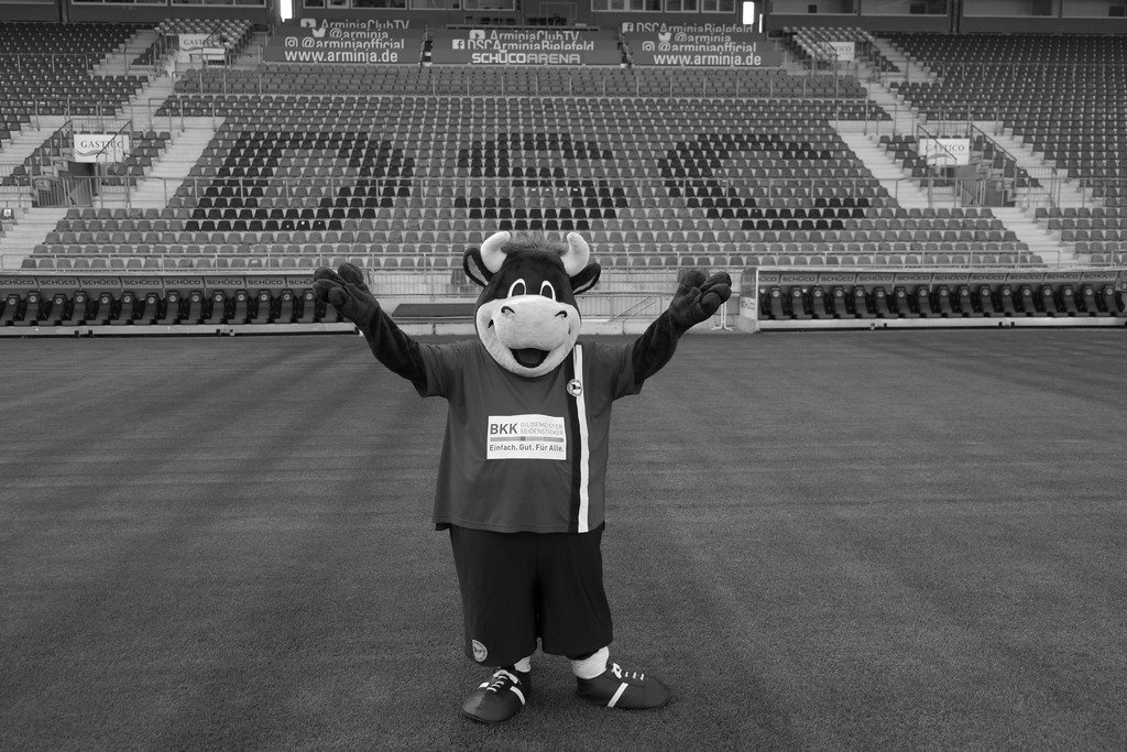 Neues #Interview auf Grundrauschen. Diesmal mit #Maskottchen #Lohmann von #Arminia <a href="/arminiabiel/">Arminia Bielefeld</a> #Bielefeld 

grundrauschen.blog/2018/06/09/mas…