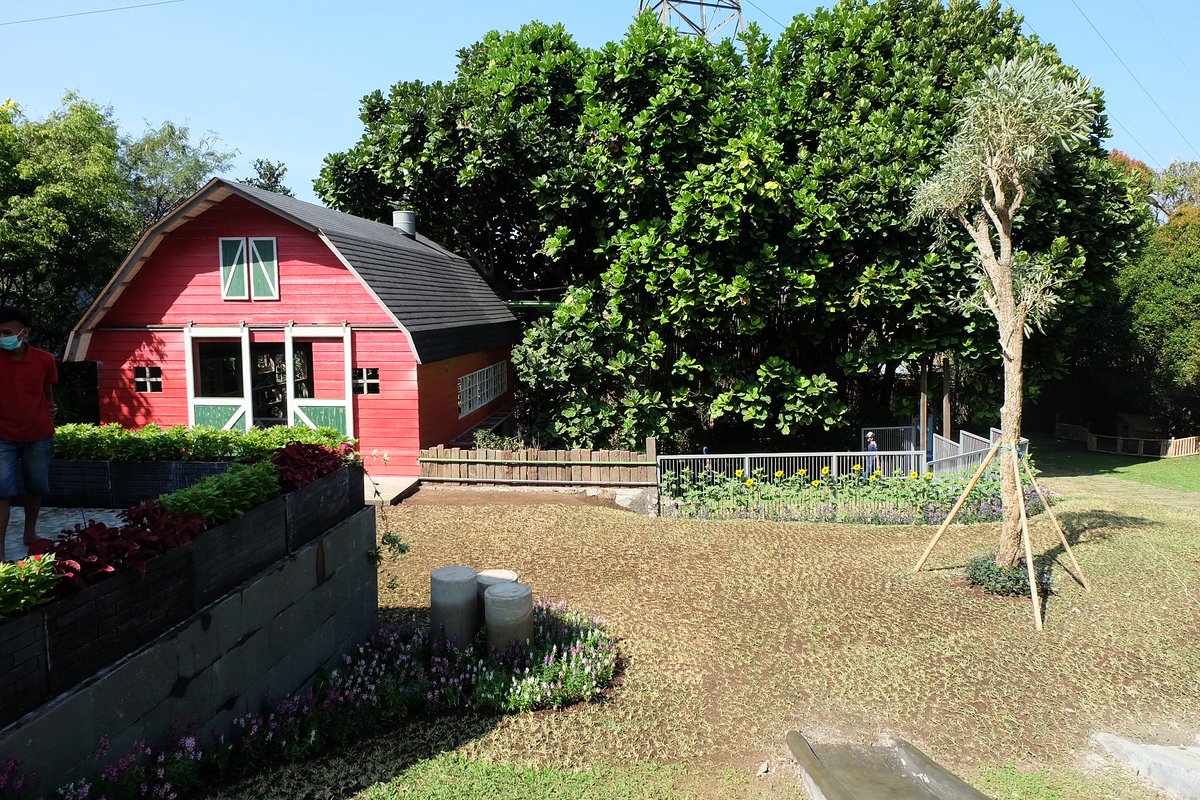 rumahguguk's tweet photo. Taman Guguk, the secret garden of Rumah Guguk, is now open for public! 🌳🌷🌼🌻🌺🌸💮🏵🌹🌲🐶🐟🐢🕊🐇🐐🦅💕 https://t.co/xJi06RILz7