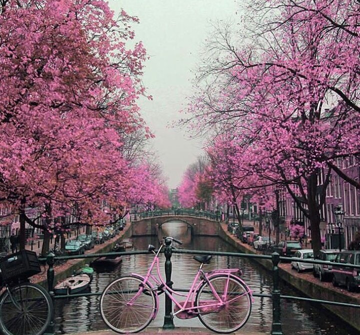 Günaydın 🌸🌸🌸🌸