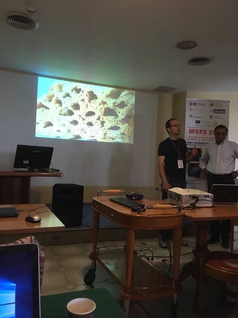 RamsayHuang's tweet photo. Second day of MSFS 2018, starts with porous media modelling. Prof Ashim Datta is a very good lecture https://t.co/htM3fAZgrl