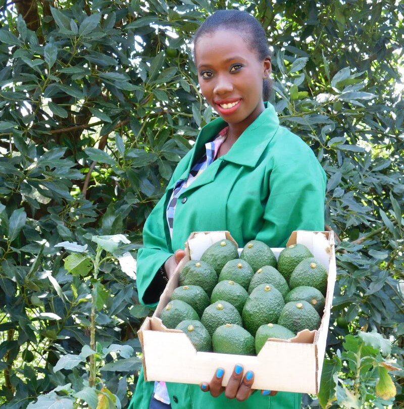 FarmbizAfrica tweet picture