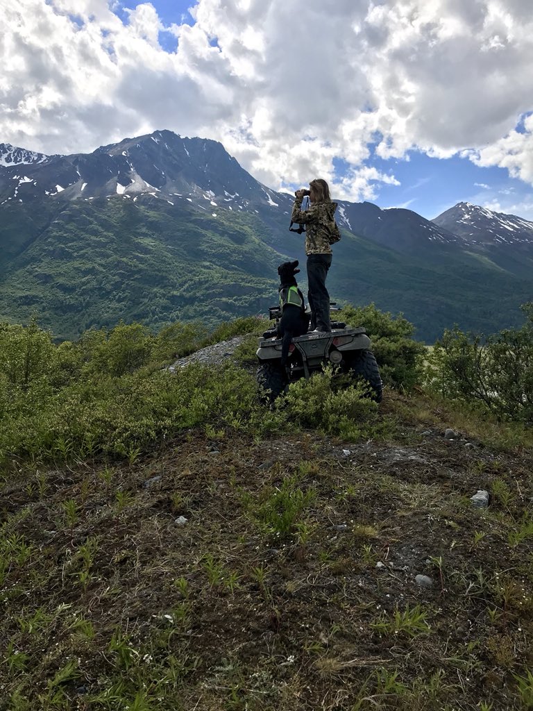 itsmorgannic's tweet photo. Yesterday was pretty neat🏞 https://t.co/I5bL2861WX