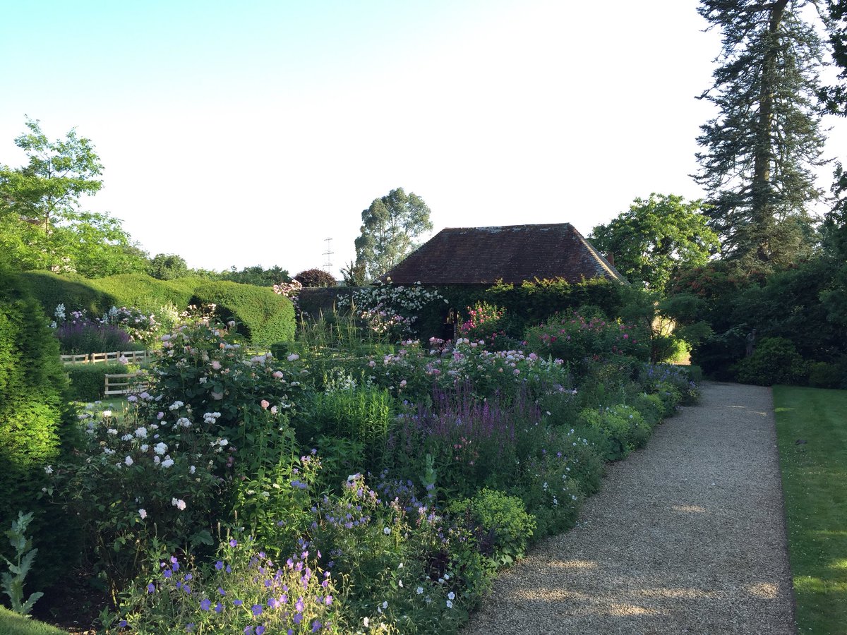 Working_Garden's tweet photo. Morning all ...what a great year for the roses! https://t.co/rSWBDlmmv8