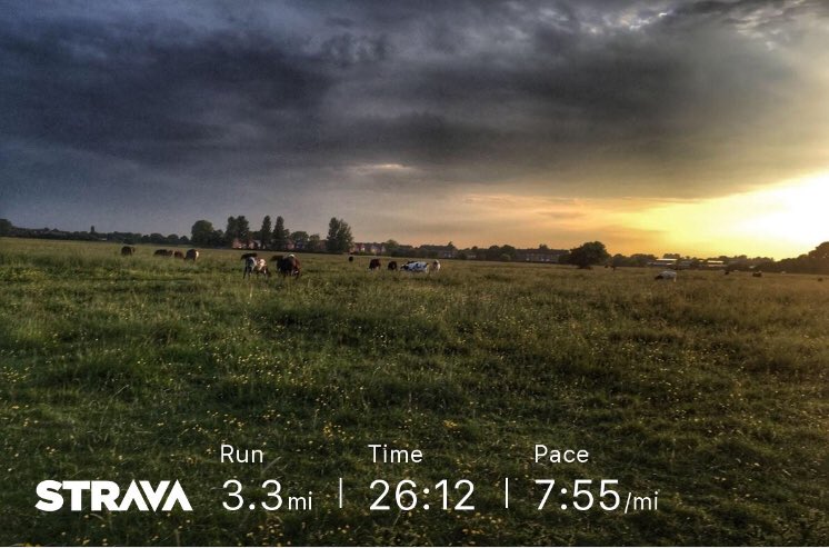 zwalfy's tweet photo. Two runs. One Sunday night, the other at 530am this morning. Same route. Sunday felt great after a long day. This morning was so tough.
No 2 runs the same eh?
Gorgeous out for both.
Both neg splits tho π
#visorclub #running #UkRunChat #runr #redsquirrelrun πΏ https://t.co/jzcjrCIOr2