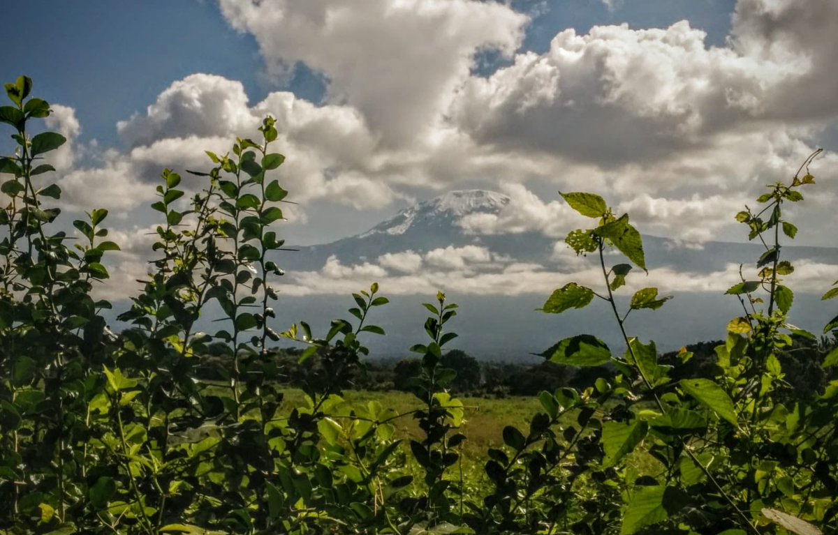 Day 1 in Tanzania 🇹🇿 long journey for <a href="/battcha/">Charlie Battson</a> and the internet is too poor to send over any videos but here’s a couple of phone photos