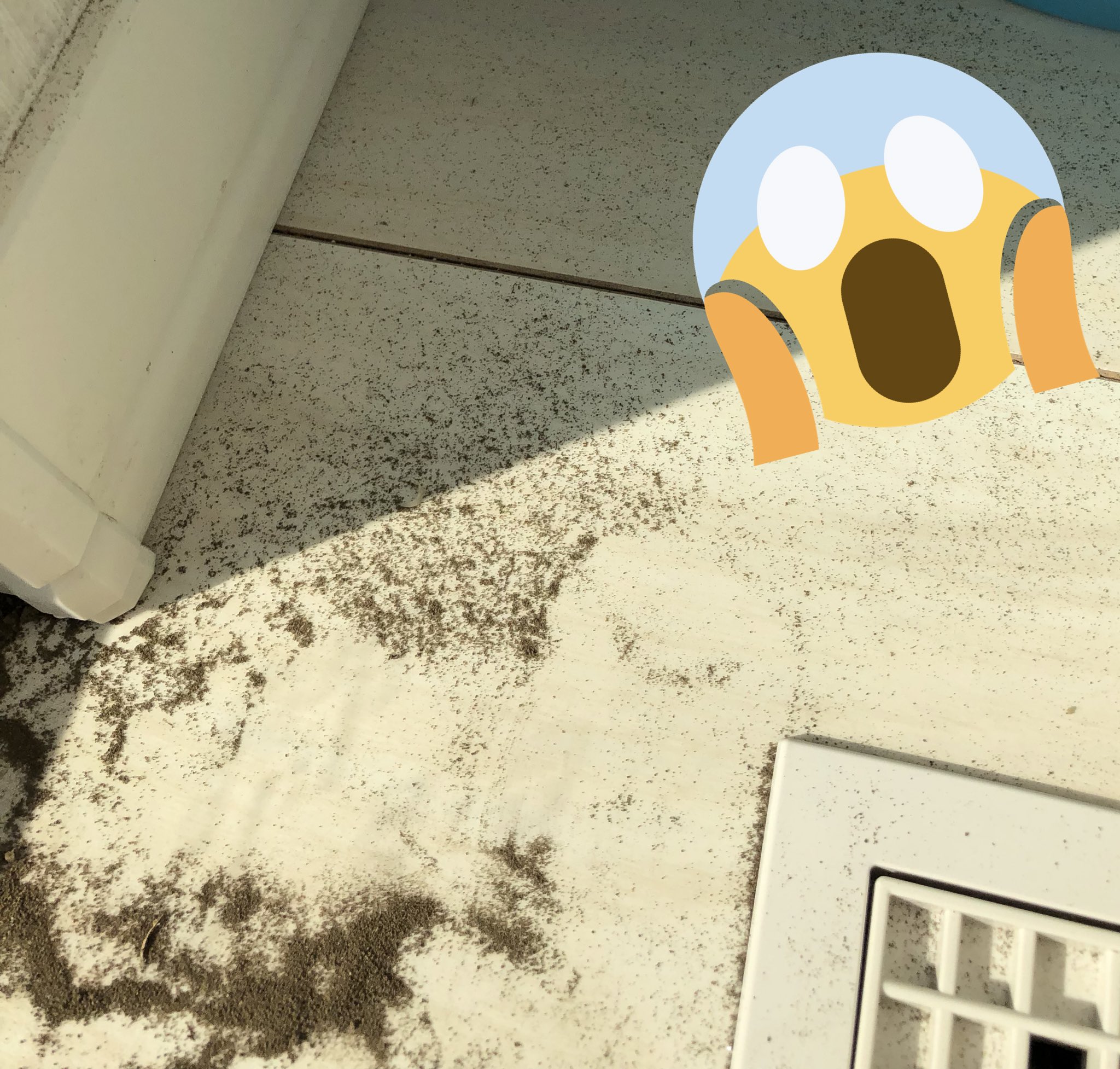 吉田誠 先日ついに 家族の為 夢のマイホーム を建てました 4000万 でも現実は酷いもので 風が吹くとリビングに砂が積もります 早速 担当者を呼びましたが なんと普通らしいです え 普通なんですか 皆さんの家 砂積もるの