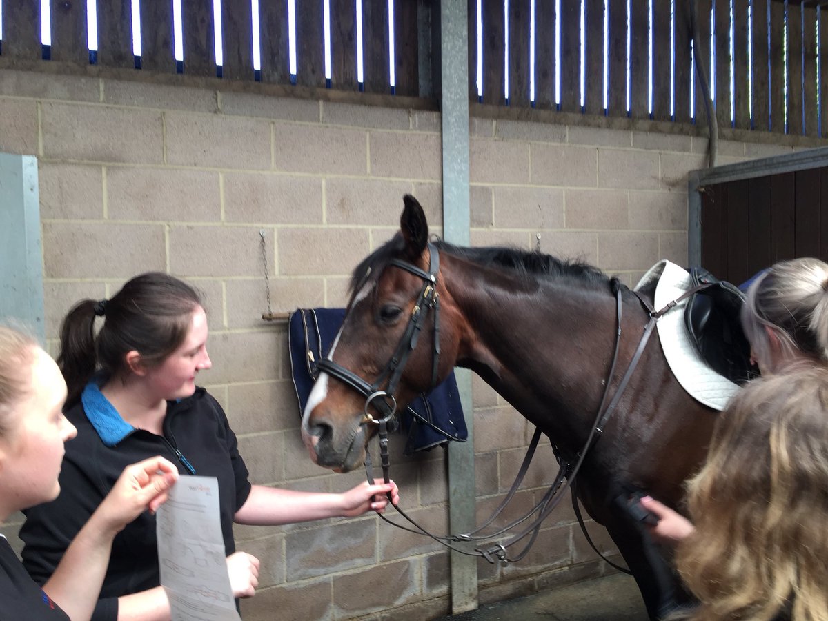 UC_Sparsholt's tweet photo. Equisense Motion demo today by @21stcenturyrid1 for @UC_Sparsholt undergrads who raised money to purchase two for future student research! #UCSEquine #equisensemotion #twohearts @HorseHour https://t.co/3IVxC4inAJ