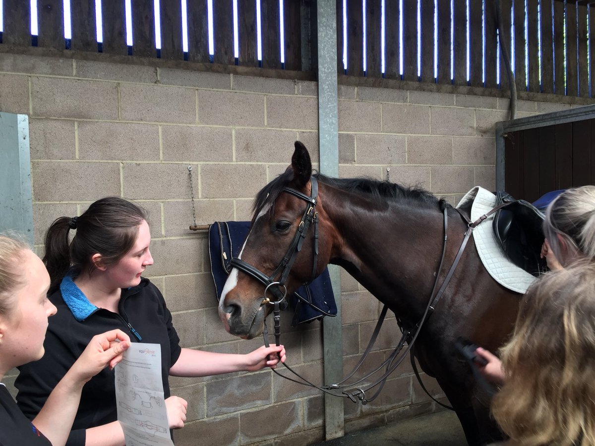 UC_Sparsholt's tweet photo. Equisense Motion demo today by @21stcenturyrid1 for @UC_Sparsholt undergrads who raised money to purchase two for future student research! #UCSEquine #equisensemotion #twohearts @HorseHour https://t.co/3IVxC4inAJ