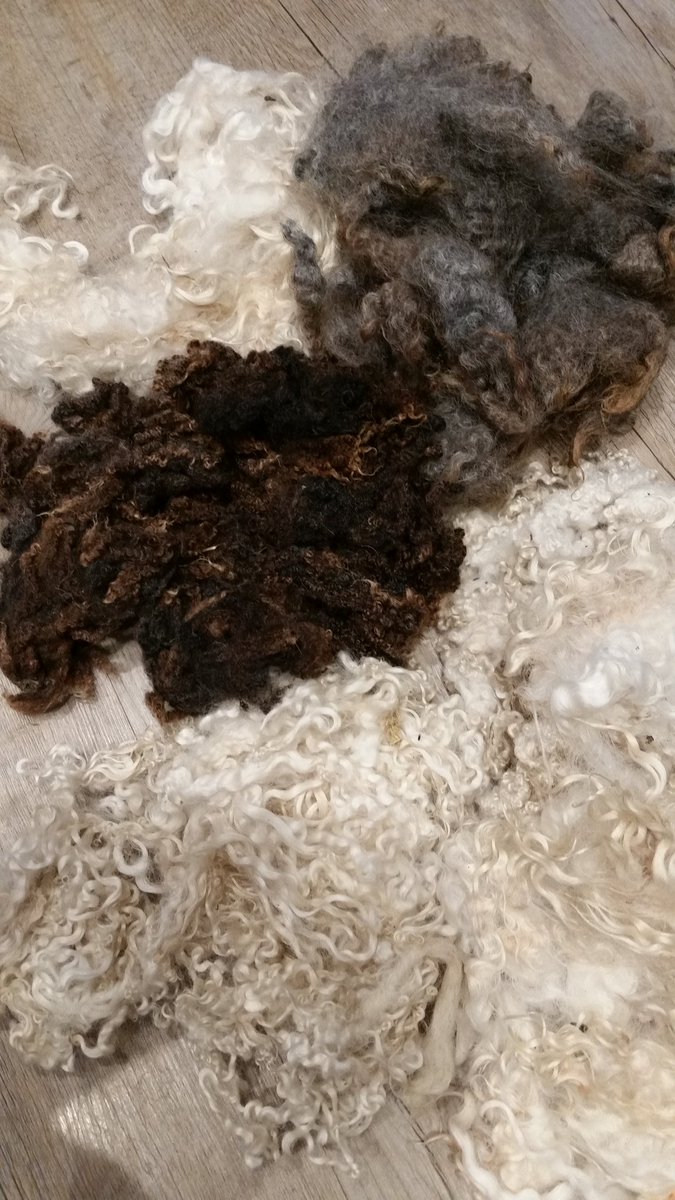 InterEdcontext's tweet image. Have just hand washed #sheepwool Can&apos;t wait to do some craft with it #handmade #HandmadeHour #crafts
