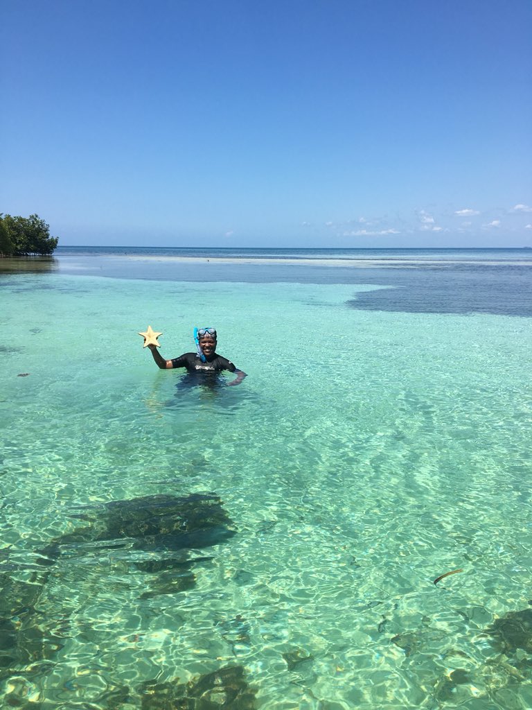 steph_e_gee's tweet photo. Starfish 😊 #Belize https://t.co/ZvmPMzVSbO
