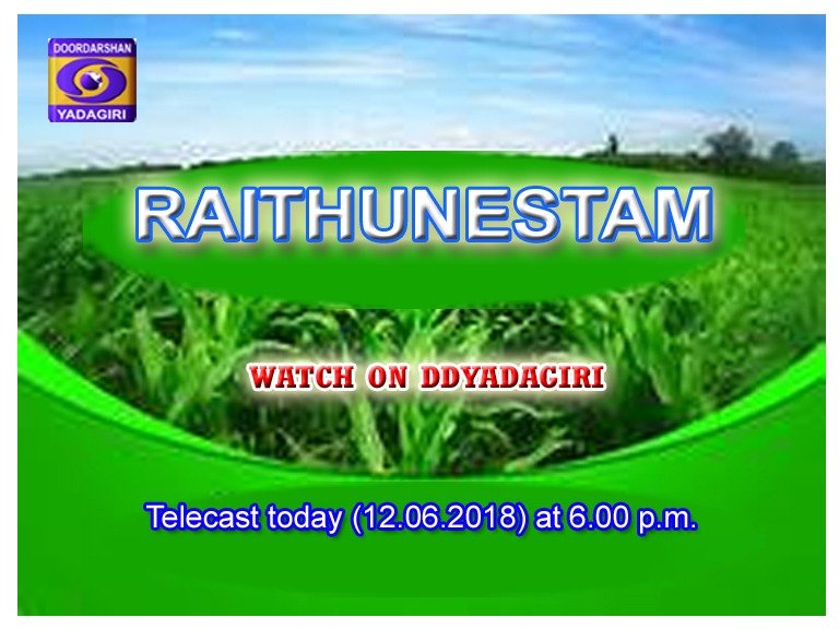 DDYadagiri's tweet photo. #Raithunestam Programme : Telecast today (12.06.2018) at 6.00 p.m. on @DDYadagiri @ddyadagirinews @DDNational @DDKisanChannel @UrduDoordarshan @DDUttarPradesh @DDSaptagirivja @DDPodhigaiTV @ddchandanabng @ddgirnarlive @DG_Doordarshan https://t.co/Wba3fiCwa3