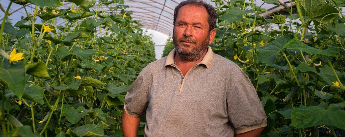 EUinGeorgia's tweet photo. "Every second day of my life is better thanks to support from the #EuropeanUnion." Read more about Tengiz' story and how he is growing #cucumbers in an energy efficient greenhouse in Lagodekhi, #Georgia: https://t.co/WxNnYeE5wr
#EU4Georgia #ENPARD https://t.co/iTm5JHAMYs